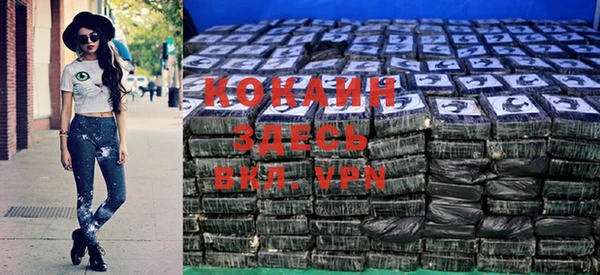 дживик Богородск
