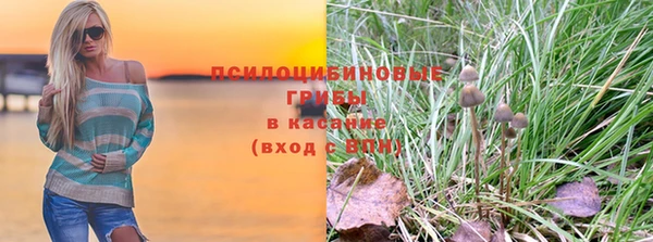 метамфетамин Богданович